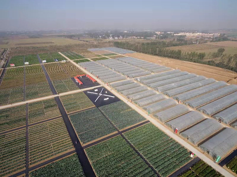 種業(yè)小鎮(zhèn)賦能農(nóng)業(yè)強(qiáng)'芯'，構(gòu)筑現(xiàn)代農(nóng)業(yè)新引擎