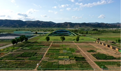 蒙草生態上市十周年 以種業為本，科研當先，深耕生態修復的“中國草”