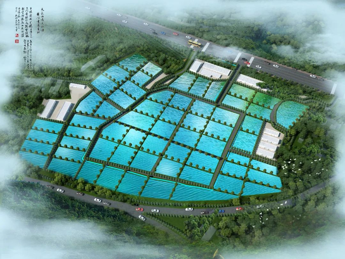 投資2.4億！水產(chǎn)巨頭落子九江，南海現(xiàn)代水產(chǎn)種業(yè)迎來(lái)強(qiáng)勁新引擎